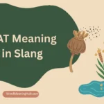 OAT Meaning in Slang