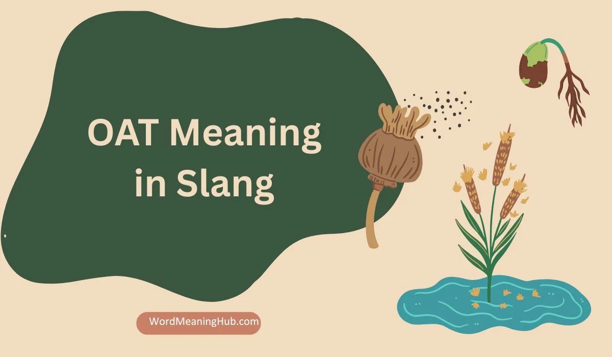 OAT Meaning in Slang